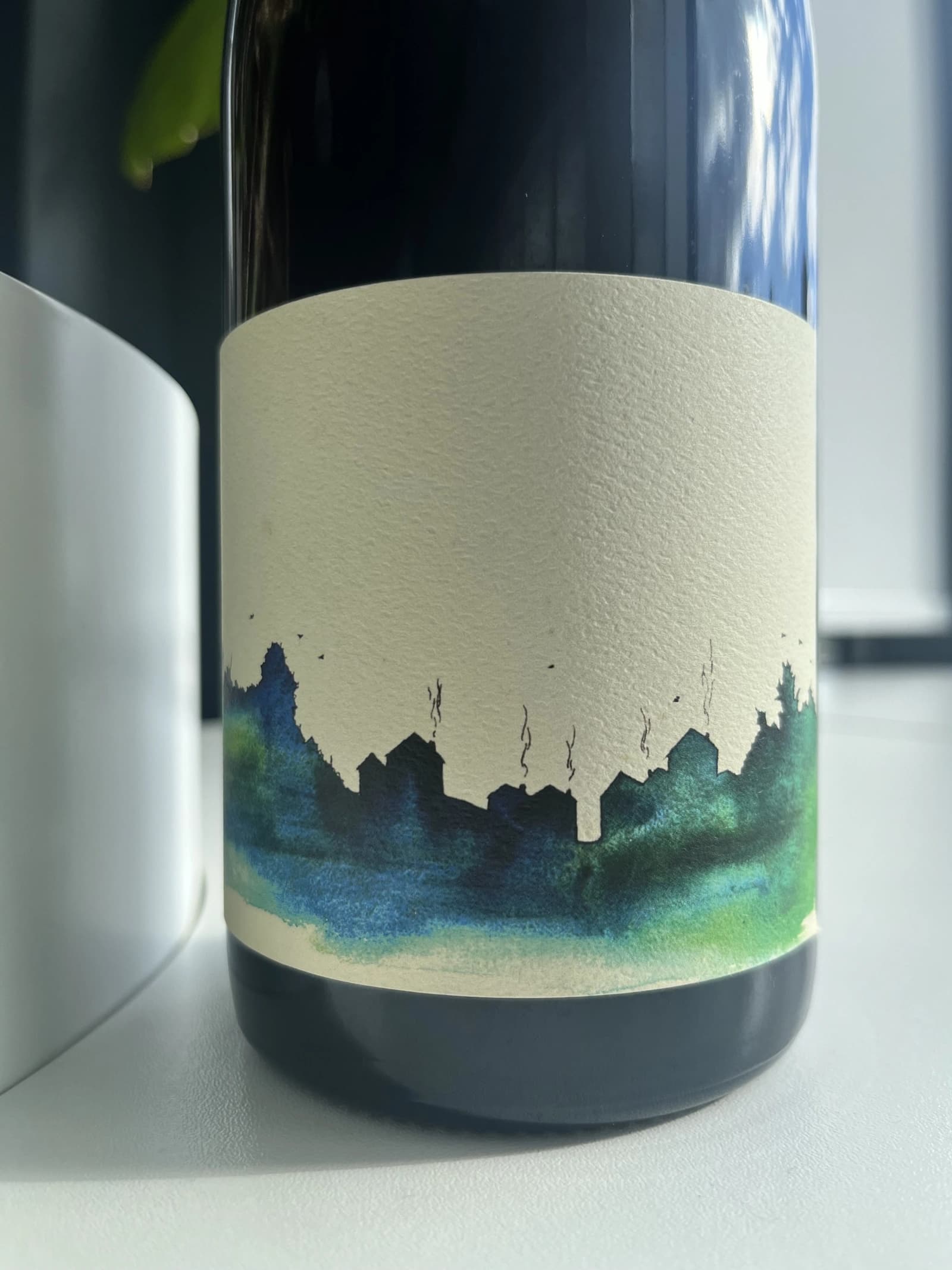 Gentle Folk Village Pinot 2016